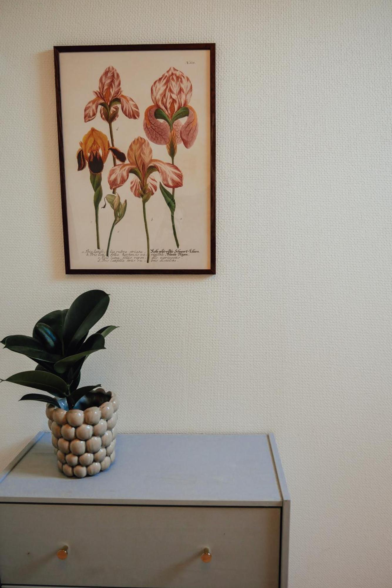 Klagstorp Aespoegarden Bed & Breakfast المظهر الخارجي الصورة